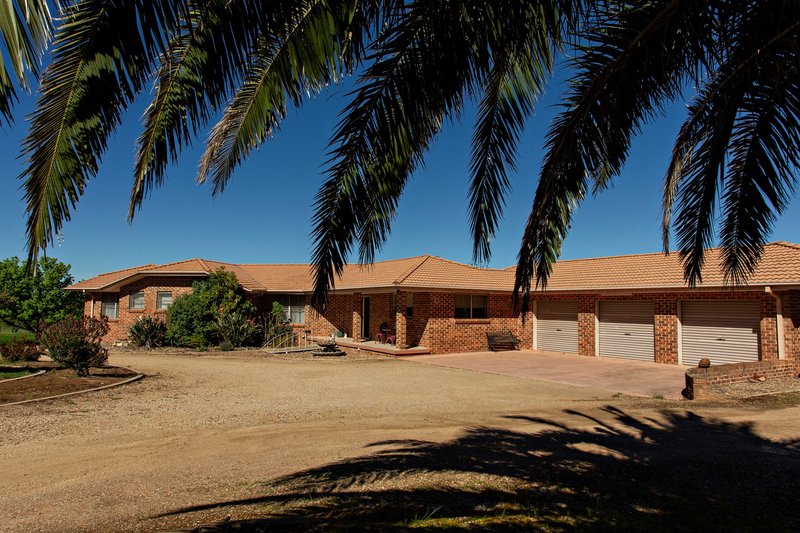 Photo - 109 Hills Street, Young NSW 2594 - Image 5