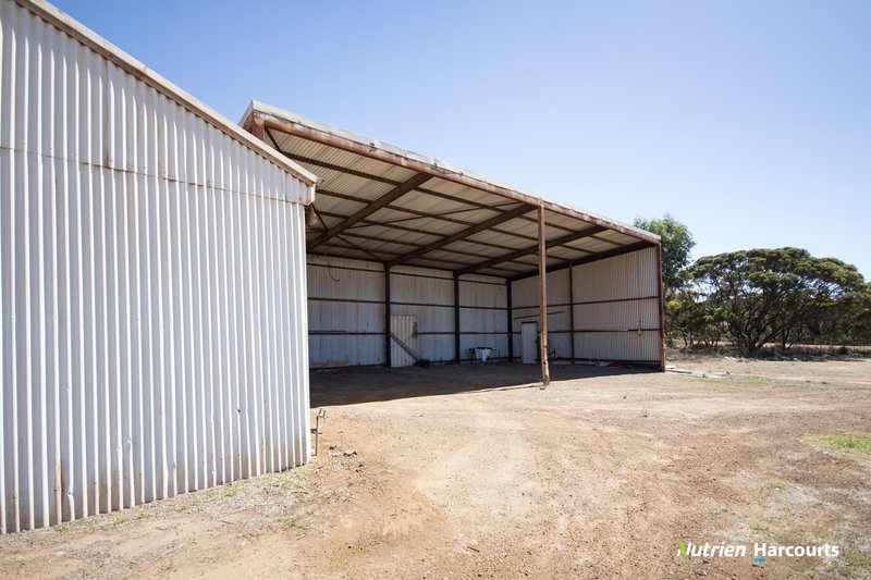 Photo - 109 Morgans Street, Ravensthorpe WA 6346 - Image 18