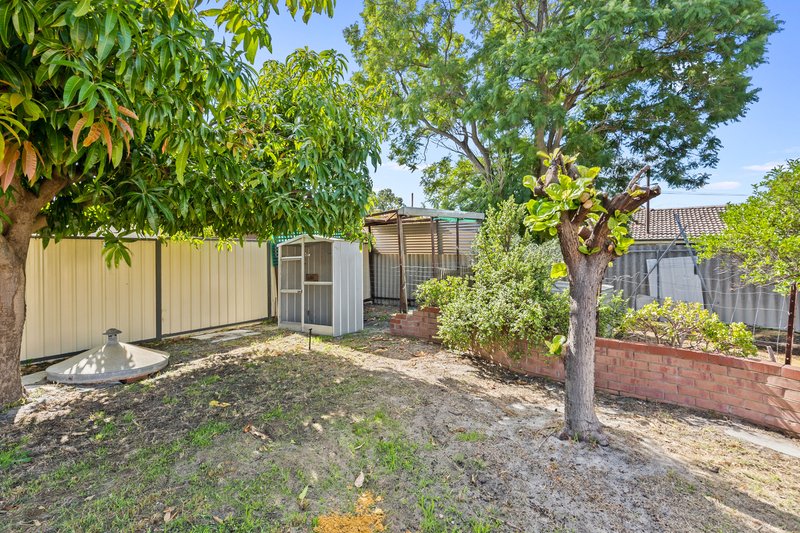 Photo - 109 Partridge Way, Thornlie WA 6108 - Image 21