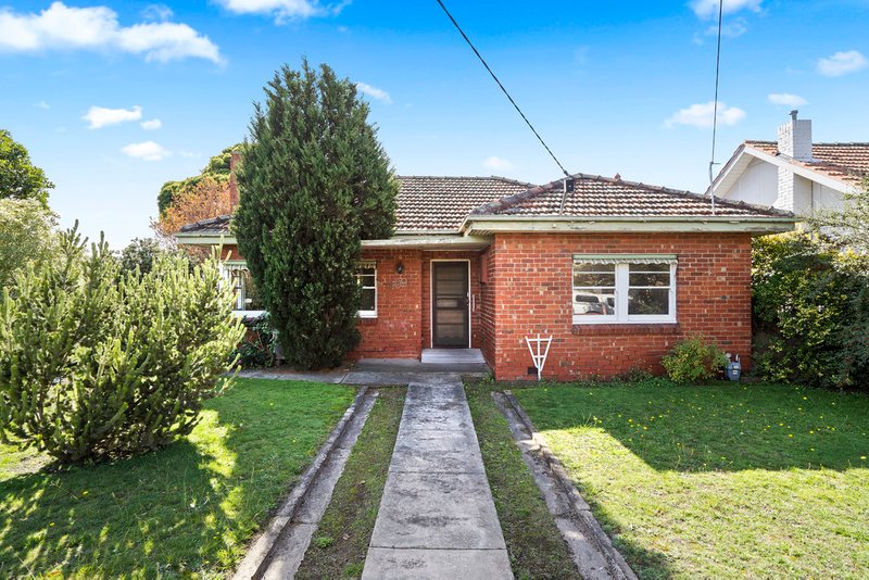 109 Patty Street, Mentone VIC 3194