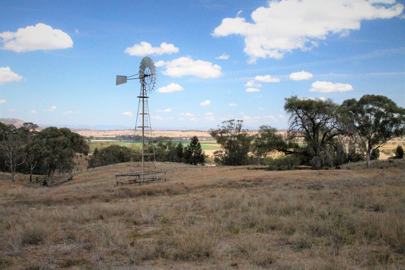 Photo - 109 Ray Carter Drive, Quirindi NSW 2343 - Image 3