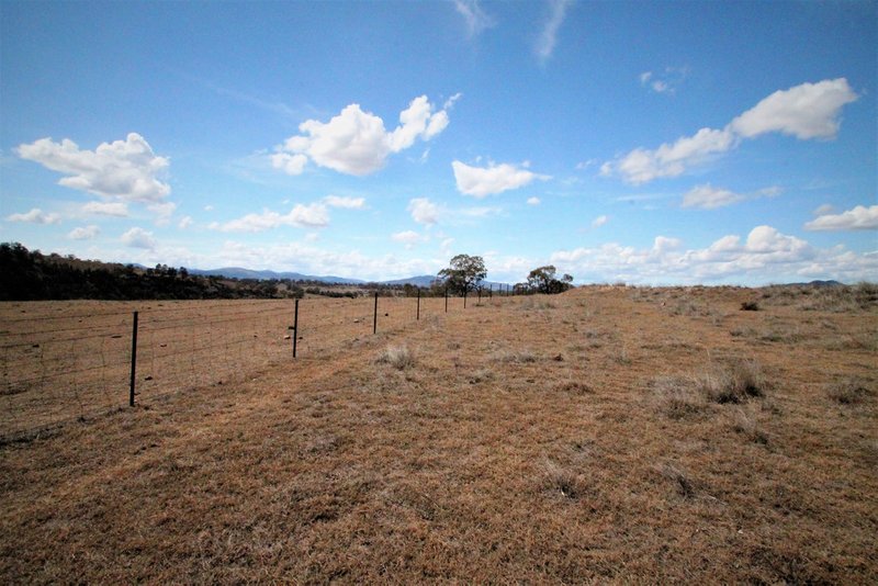 Photo - 109 Ray Carter Drive, Quirindi NSW 2343 - Image 5