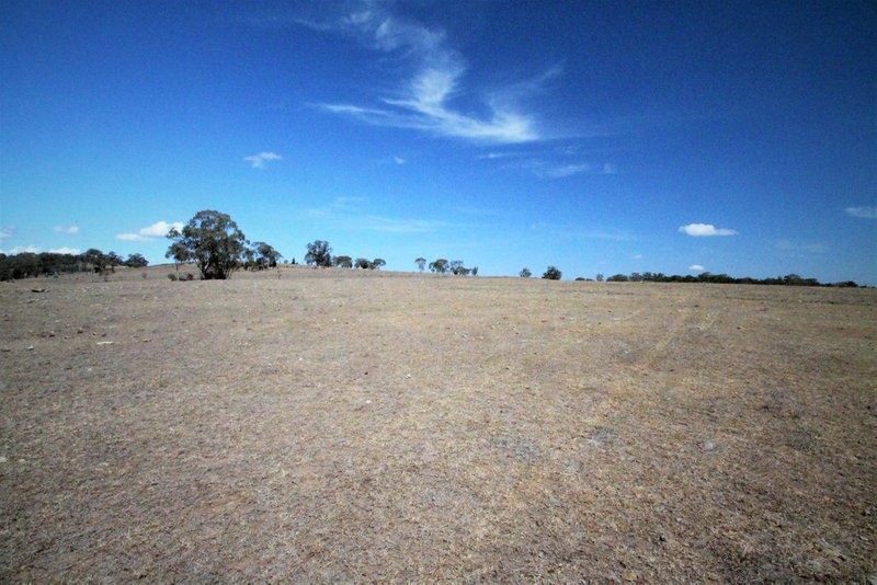 Photo - 109 Ray Carter Drive, Quirindi NSW 2343 - Image 6