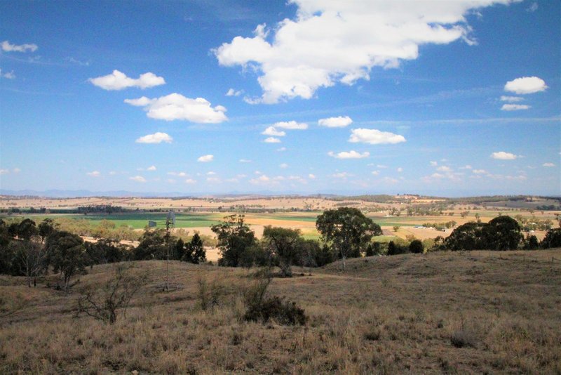 Photo - 109 Ray Carter Drive, Quirindi NSW 2343 - Image 8