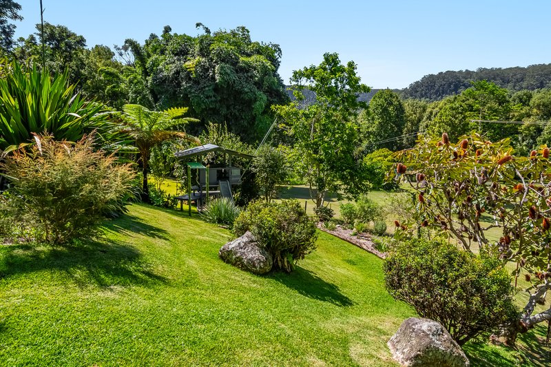 Photo - 109 Upper Wilsons Creek Road, Upper Wilsons Creek NSW 2482 - Image 16
