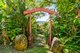 Photo - 109 Upper Wilsons Creek Road, Upper Wilsons Creek NSW 2482 - Image 18