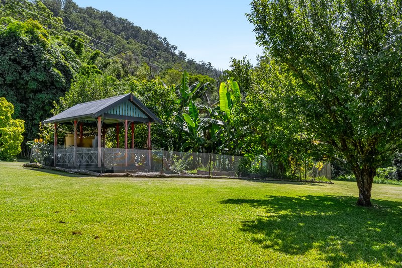 Photo - 109 Upper Wilsons Creek Road, Upper Wilsons Creek NSW 2482 - Image 21