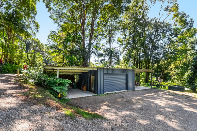 Photo - 109 Upper Wilsons Creek Road, Upper Wilsons Creek NSW 2482 - Image 22