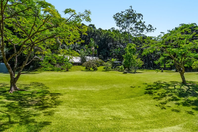 Photo - 109 Upper Wilsons Creek Road, Upper Wilsons Creek NSW 2482 - Image 24