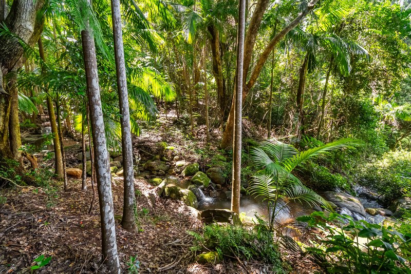 Photo - 109 Upper Wilsons Creek Road, Upper Wilsons Creek NSW 2482 - Image 27