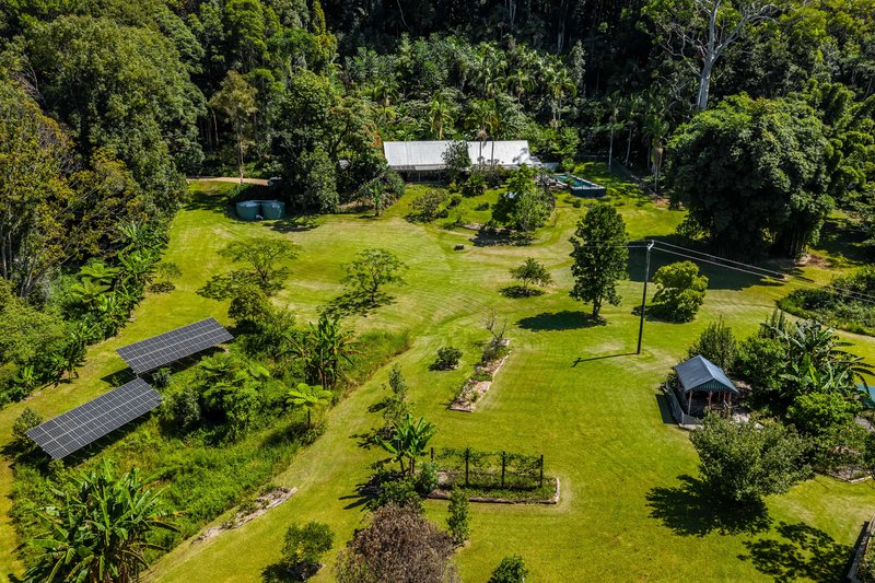 Photo - 109 Upper Wilsons Creek Road, Upper Wilsons Creek NSW 2482 - Image 28
