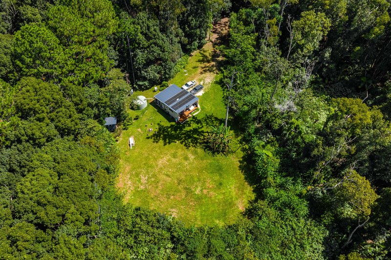 Photo - 109 Upper Wilsons Creek Road, Upper Wilsons Creek NSW 2482 - Image 29