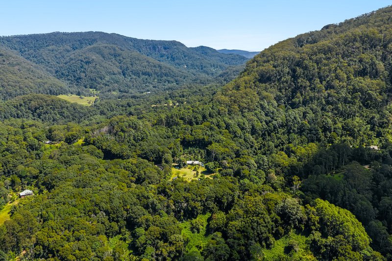 Photo - 109 Upper Wilsons Creek Road, Upper Wilsons Creek NSW 2482 - Image 30