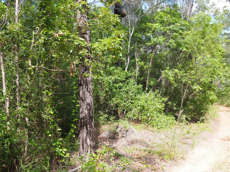 Photo - 1091 - 1153 Torbanlea Road, Takura QLD 4655 - Image 6