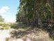 Photo - 1091 - 1153 Torbanlea Road, Takura QLD 4655 - Image 11