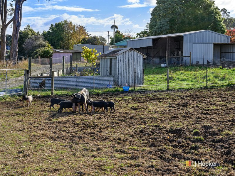 Photo - 1091 Murchison Highway, Elliott TAS 7325 - Image 15