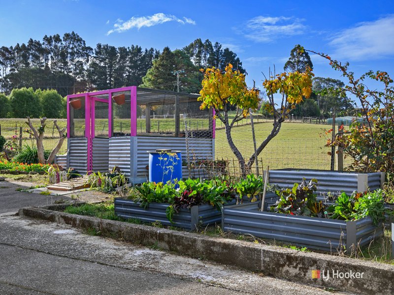 Photo - 1091 Murchison Highway, Elliott TAS 7325 - Image 16