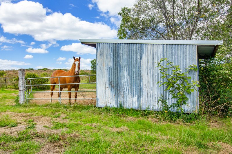 Photo - 1097 Blackman Gap Road, Colosseum QLD 4677 - Image 11