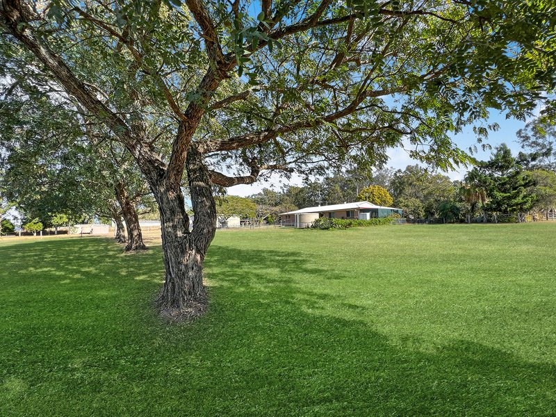 Photo - 1098 Karrabin Rosewood Road, Rosewood QLD 4340 - Image 18