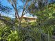 Photo - 1098 Karrabin Rosewood Road, Rosewood QLD 4340 - Image 20