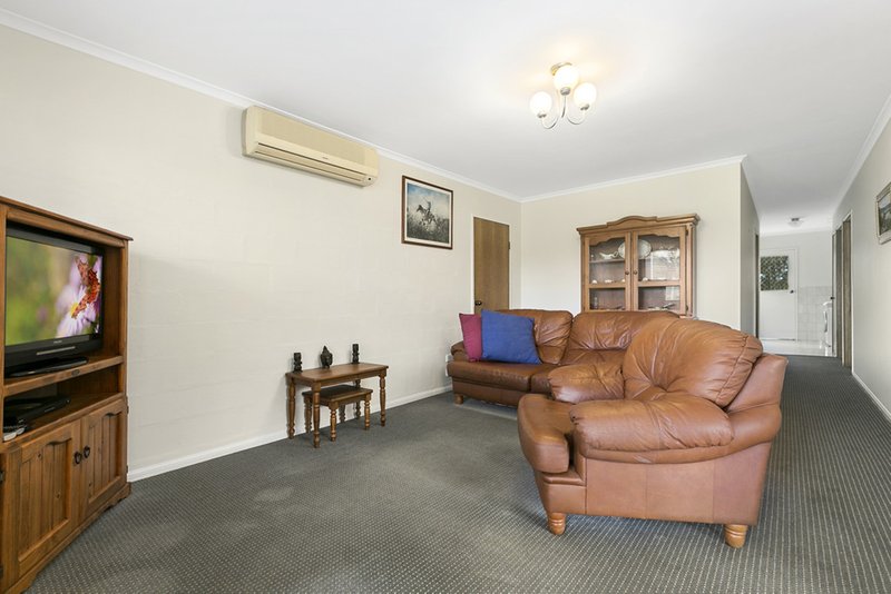 Photo - 10a Kauri Street, Cooroy QLD 4563 - Image 4