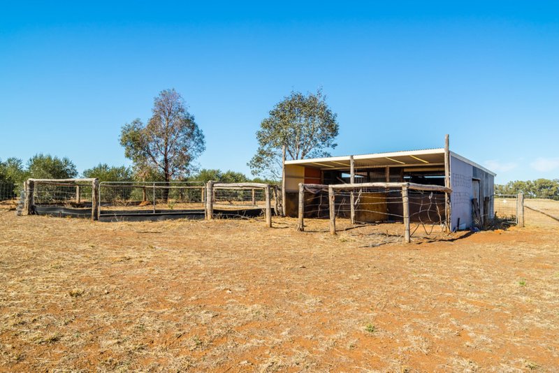 Photo - 10R Dulcidene Road, Dubbo NSW 2830 - Image 11