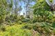 Photo - 11 - 13 Keightley Street, Moruya NSW 2537 - Image 6