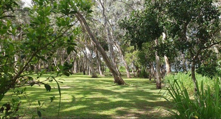 Photo - 11-13 Leonie Street, Armstrong Beach QLD 4737 - Image 4