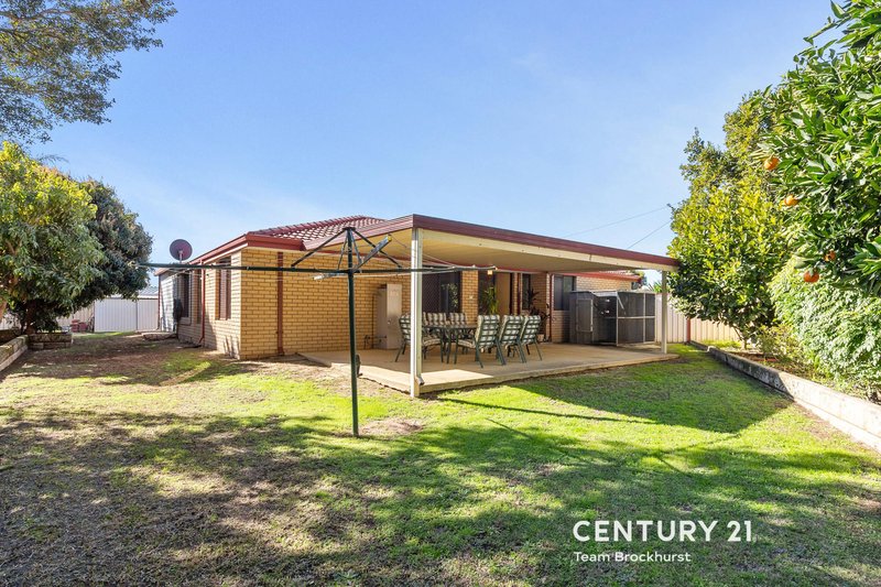 Photo - 11 Ainstey Close, Seville Grove WA 6112 - Image 22