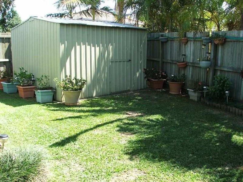 Photo - 11 Albany Street, Sippy Downs QLD 4556 - Image 7