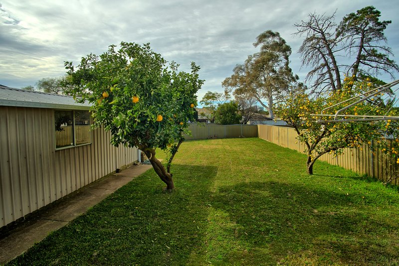 Photo - 11 Allum Street, Bankstown NSW 2200 - Image 14