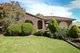 Photo - 11 Amethyst Crescent, Hope Valley SA 5090 - Image 2