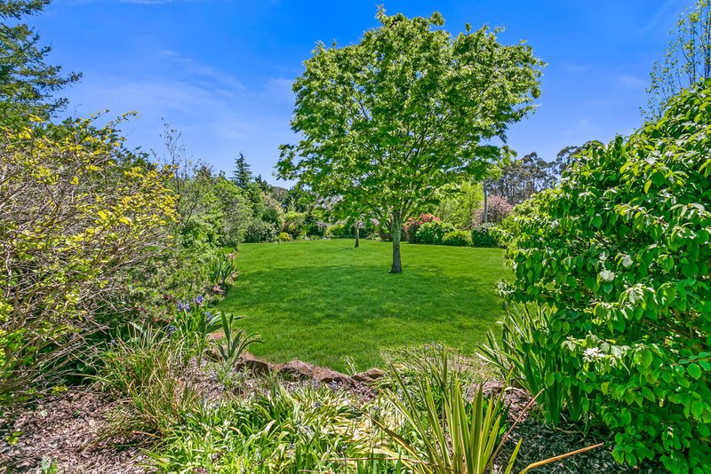 Photo - 11 Andeva Road, Hanging Rock NSW 2340 - Image 12