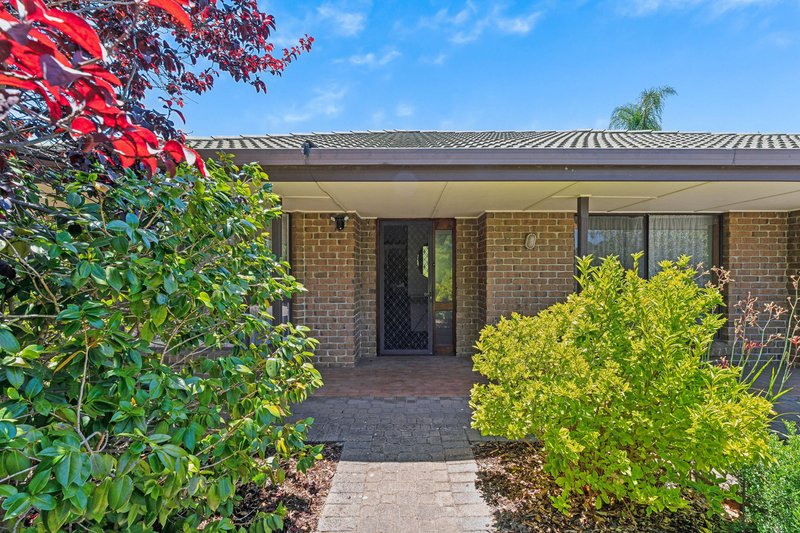 Photo - 11 Angela Close, Flagstaff Hill SA 5159 - Image 2