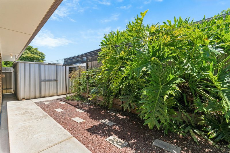 Photo - 11 Angela Close, Flagstaff Hill SA 5159 - Image 24