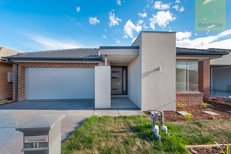 11 Angove Street, Craigieburn VIC 3064