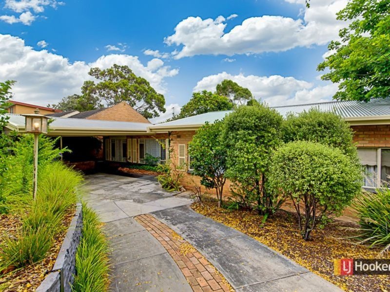 Photo - 11 Armson Avenue, Magill SA 5072 - Image 3