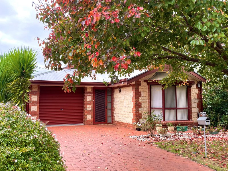 11 Ashton Place, Wynn Vale SA 5127