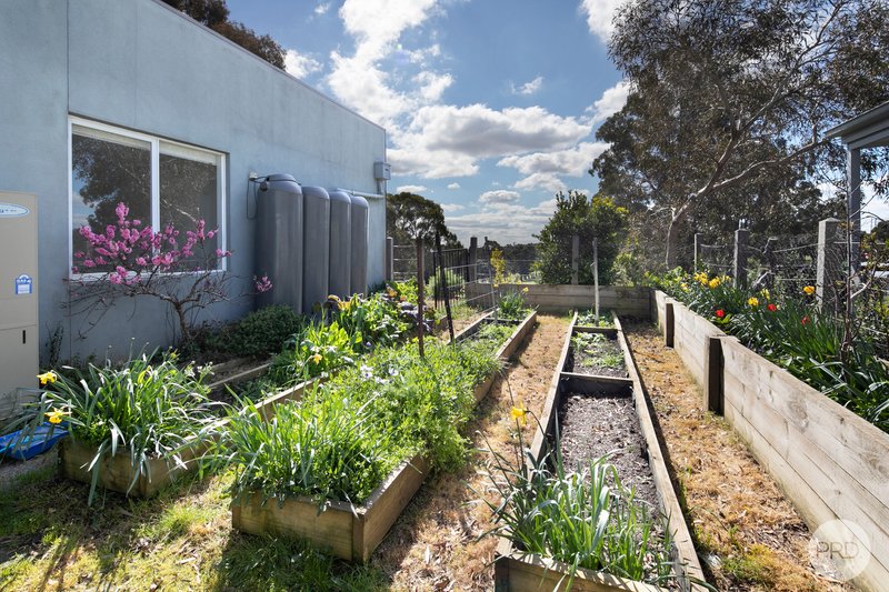 Photo - 11 Augusta Drive, Creswick VIC 3363 - Image 16