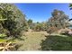 Photo - 11 Avonmore Avenue, Trinity Gardens SA 5068 - Image 7