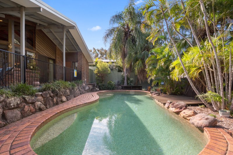 Photo - 11 Banek Place, Everton Park QLD 4053 - Image 6