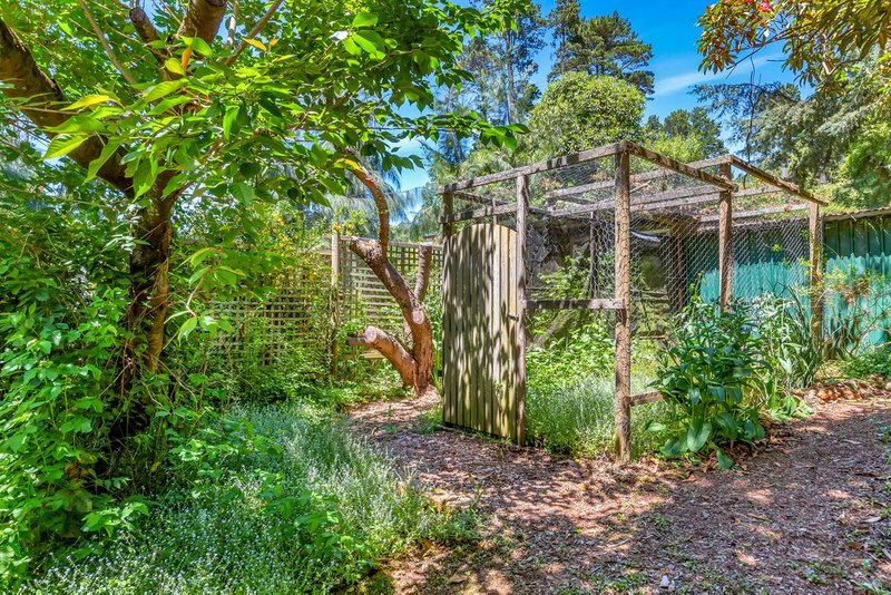 Photo - 11 Barratt Street, Blackheath NSW 2785 - Image 5