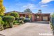 Photo - 11 Begonia Avenue, Cabramatta NSW 2166 - Image 1