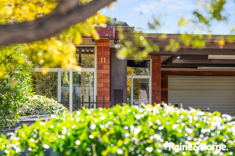 Photo - 11 Begonia Avenue, Cabramatta NSW 2166 - Image 16