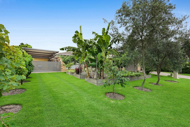 Photo - 11 Bentleigh Court, Robina QLD 4226 - Image 25