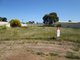 Photo - 11 Bolton Place, Tailem Bend SA 5260 - Image 2