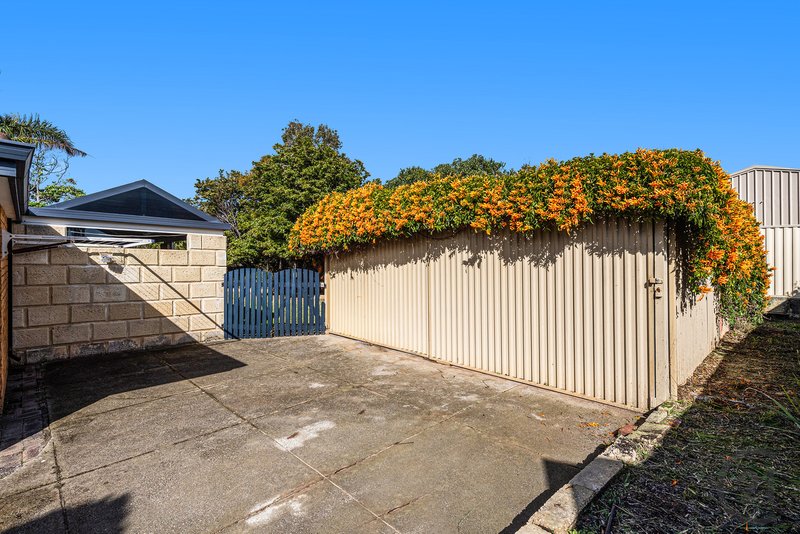 Photo - 11 Boronia Close, Halls Head WA 6210 - Image 4