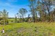 Photo - 11 Bredbatoura Road, Cobargo NSW 2550 - Image 4