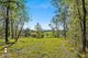 Photo - 11 Bredbatoura Road, Cobargo NSW 2550 - Image 5