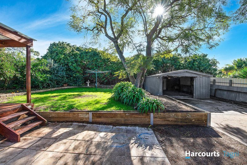 Photo - 11 Brian Terrace, Morphett Vale SA 5162 - Image 11